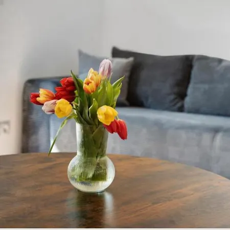 Terrace Loft By Botanical Garden * Greifswald